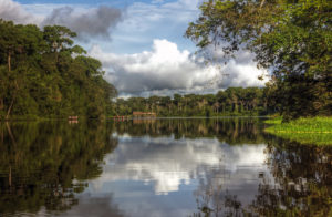 Amazon River