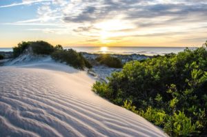 Cumberland Island